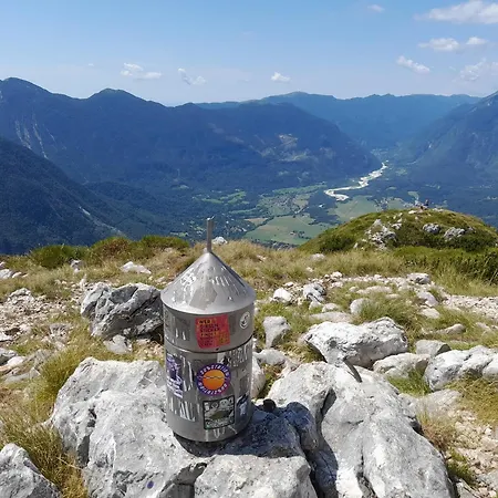 Owl's Nest Деревянный коттедж